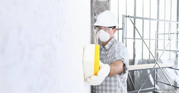 Why You Should Choose Our Mold Remediation Services in Hahira, GA